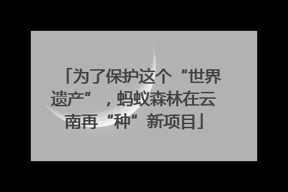 为了保护这个“世界遗产”，蚂蚁森林在云南再“种”新项目