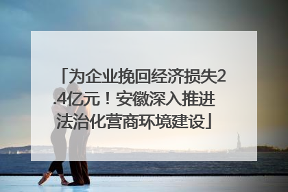 为企业挽回经济损失2.4亿元！安徽深入推进法治化营商环境建设
