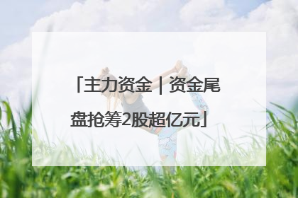 主力资金｜资金尾盘抢筹2股超亿元