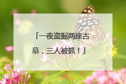 一夜盗掘两座古墓，三人被抓！