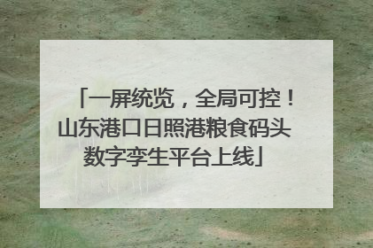 一屏统览，全局可控！山东港口日照港粮食码头数字孪生平台上线
