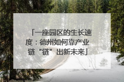 一座园区的生长速度：德州如何靠产业链“链”出新未来