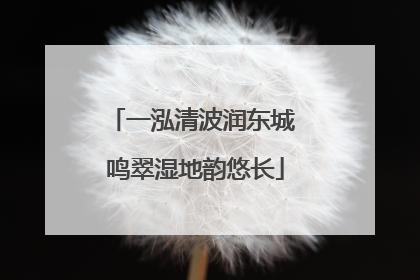 一泓清波润东城 鸣翠湿地韵悠长