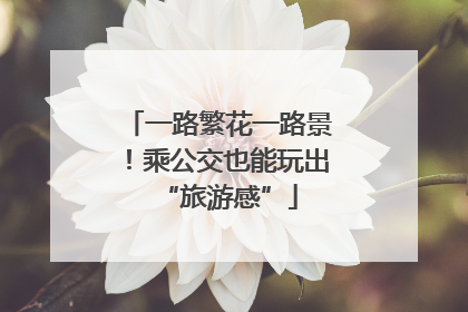 一路繁花一路景！乘公交也能玩出“旅游感”