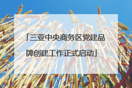 三亚中央商务区党建品牌创建工作正式启动