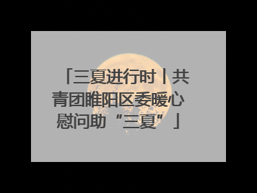 三夏进行时丨共青团睢阳区委暖心慰问助“三夏”