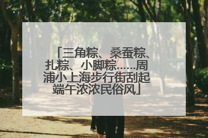 三角粽、桑蚕粽、扎粽、小脚粽……周浦小上海步行街刮起端午浓浓民俗风