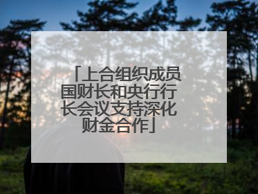 上合组织成员国财长和央行行长会议支持深化财金合作