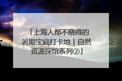 上海人都不晓得的 暑期宝藏打卡地｜自然资源探馆系列②