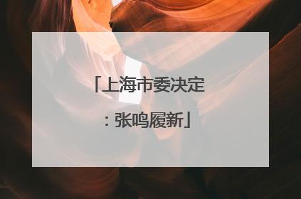 上海市委决定：张鸣履新