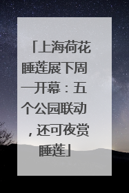 上海荷花睡莲展下周一开幕：五个公园联动，还可夜赏睡莲