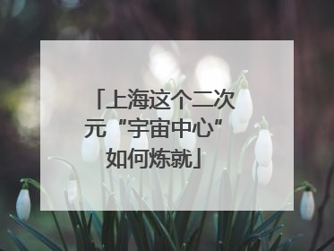 上海这个二次元“宇宙中心”如何炼就