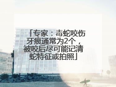 专家：毒蛇咬伤牙痕通常为2个，被咬后尽可能记清蛇特征或拍照