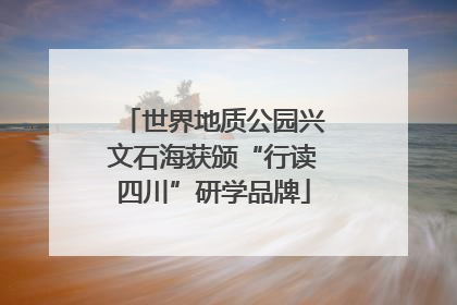 世界地质公园兴文石海获颁“行读四川”研学品牌