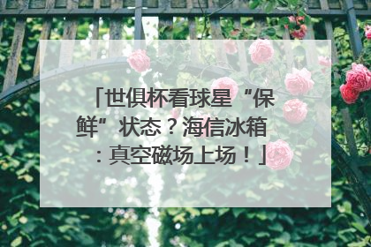 世俱杯看球星“保鲜”状态？海信冰箱：真空磁场上场！