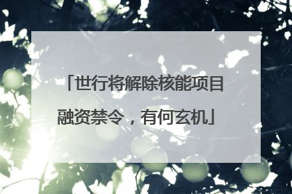 世行将解除核能项目融资禁令，有何玄机