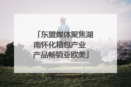 东盟媒体聚焦湖南怀化箱包产业 产品畅销亚欧美