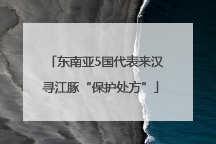 东南亚5国代表来汉寻江豚“保护处方”