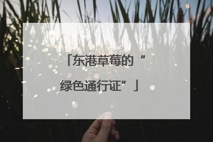 东港草莓的“绿色通行证”