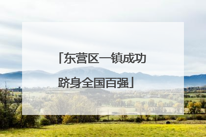 东营区一镇成功跻身全国百强