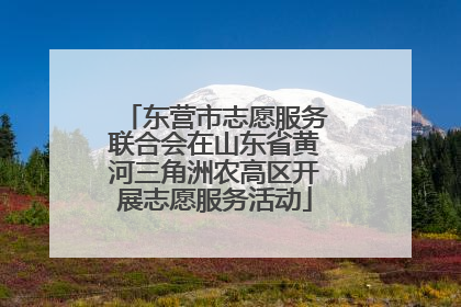 东营市志愿服务联合会在山东省黄河三角洲农高区开展志愿服务活动