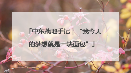 中东战地手记｜“我今天的梦想就是一块面包”