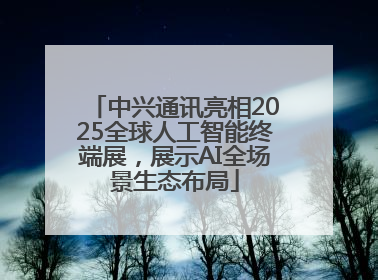 中兴通讯亮相2025全球人工智能终端展，展示AI全场景生态布局
