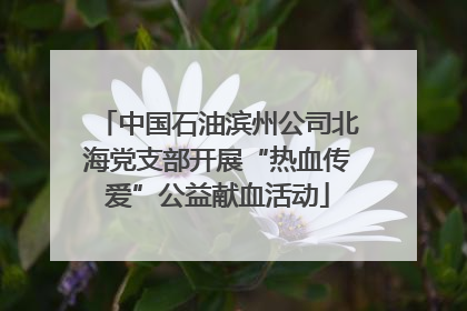 中国石油滨州公司北海党支部开展“热血传爱”公益献血活动