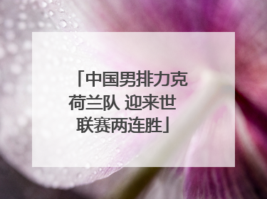 中国男排力克荷兰队 迎来世联赛两连胜