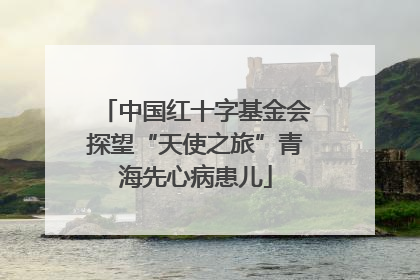 中国红十字基金会探望“天使之旅”青海先心病患儿