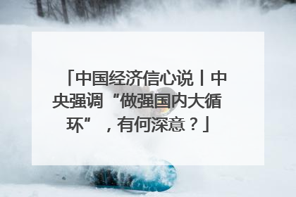中国经济信心说丨中央强调“做强国内大循环”，有何深意？