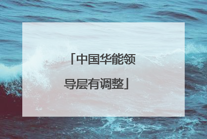 中国华能领导层有调整