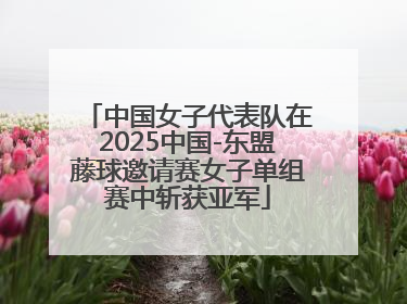 中国女子代表队在2025中国-东盟藤球邀请赛女子单组赛中斩获亚军