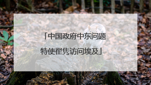 中国政府中东问题特使翟隽访问埃及