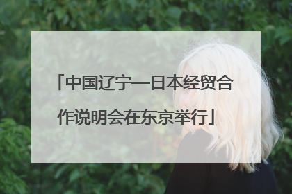 中国辽宁—日本经贸合作说明会在东京举行