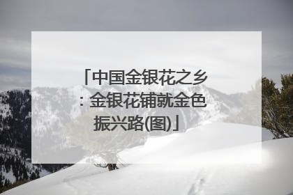 中国金银花之乡：金银花铺就金色振兴路(图)