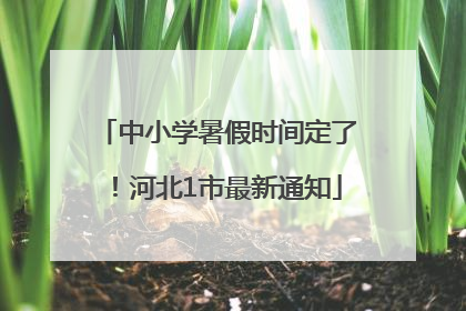中小学暑假时间定了！河北1市最新通知