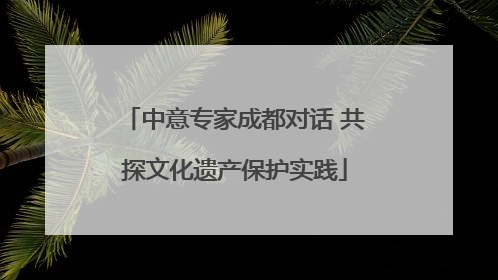 中意专家成都对话 共探文化遗产保护实践