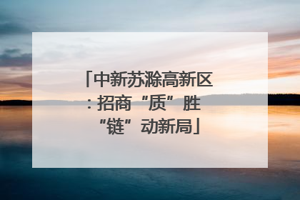 中新苏滁高新区：招商“质”胜 “链”动新局