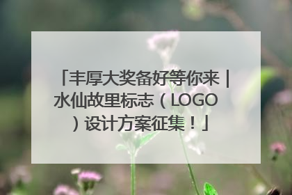 丰厚大奖备好等你来｜水仙故里标志（LOGO）设计方案征集！