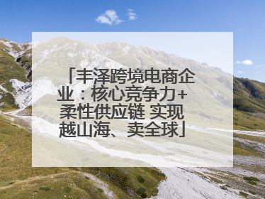 丰泽跨境电商企业：核心竞争力+柔性供应链 实现越山海、卖全球