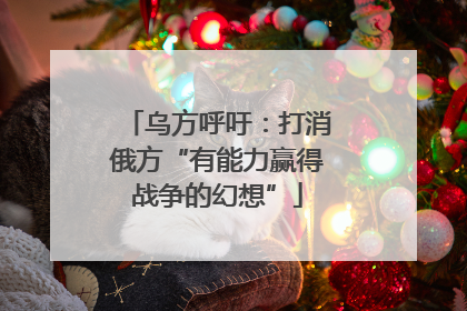 乌方呼吁：打消俄方“有能力赢得战争的幻想”