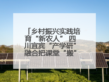 乡村振兴实践培育“新农人” 四川宜宾“产学研”融合把课堂“搬”到田间
