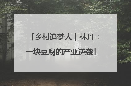 乡村追梦人｜林丹：一块豆腐的产业逆袭