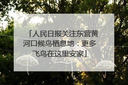 人民日报关注东营黄河口候鸟栖息地：更多飞鸟在这里安家