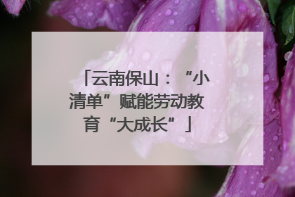 云南保山：“小清单”赋能劳动教育“大成长”