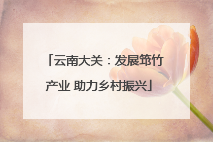 云南大关：发展筇竹产业 助力乡村振兴