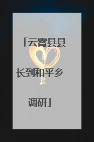 云霄县县长到和平乡调研