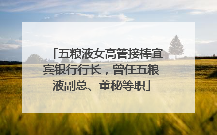 五粮液女高管接棒宜宾银行行长，曾任五粮液副总、董秘等职