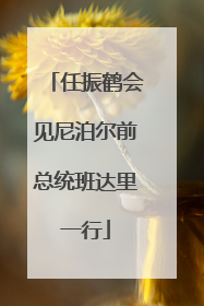 任振鹤会见尼泊尔前总统班达里一行